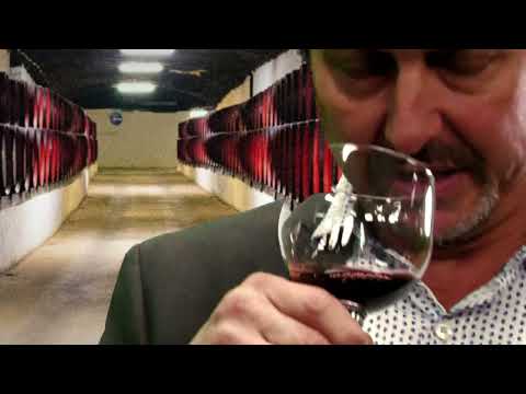 Falconer Sport of Kings Premium Spanish Wine